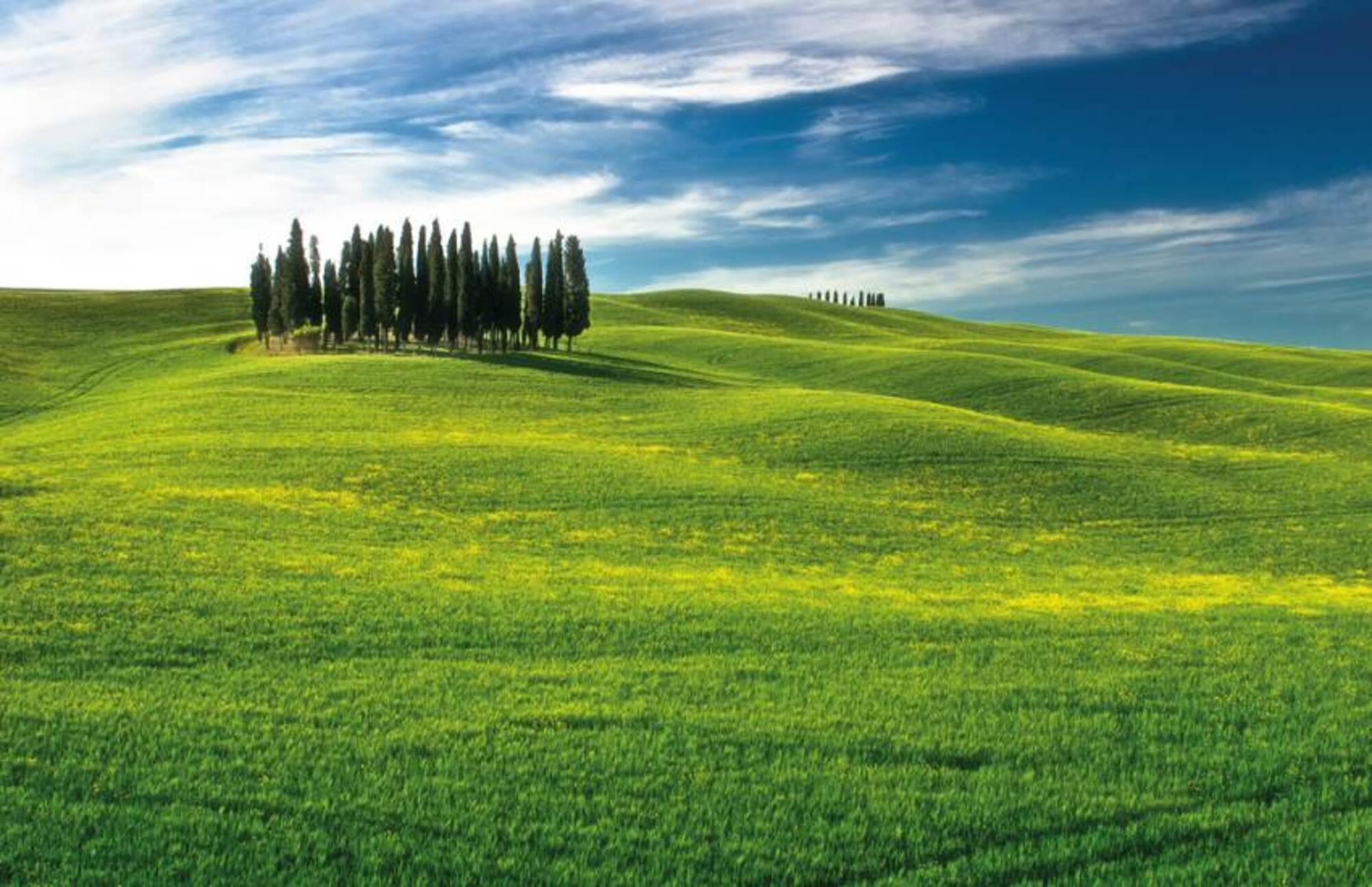 Val-d'Orcia-Original-Wine-Tour-from-Siena-4