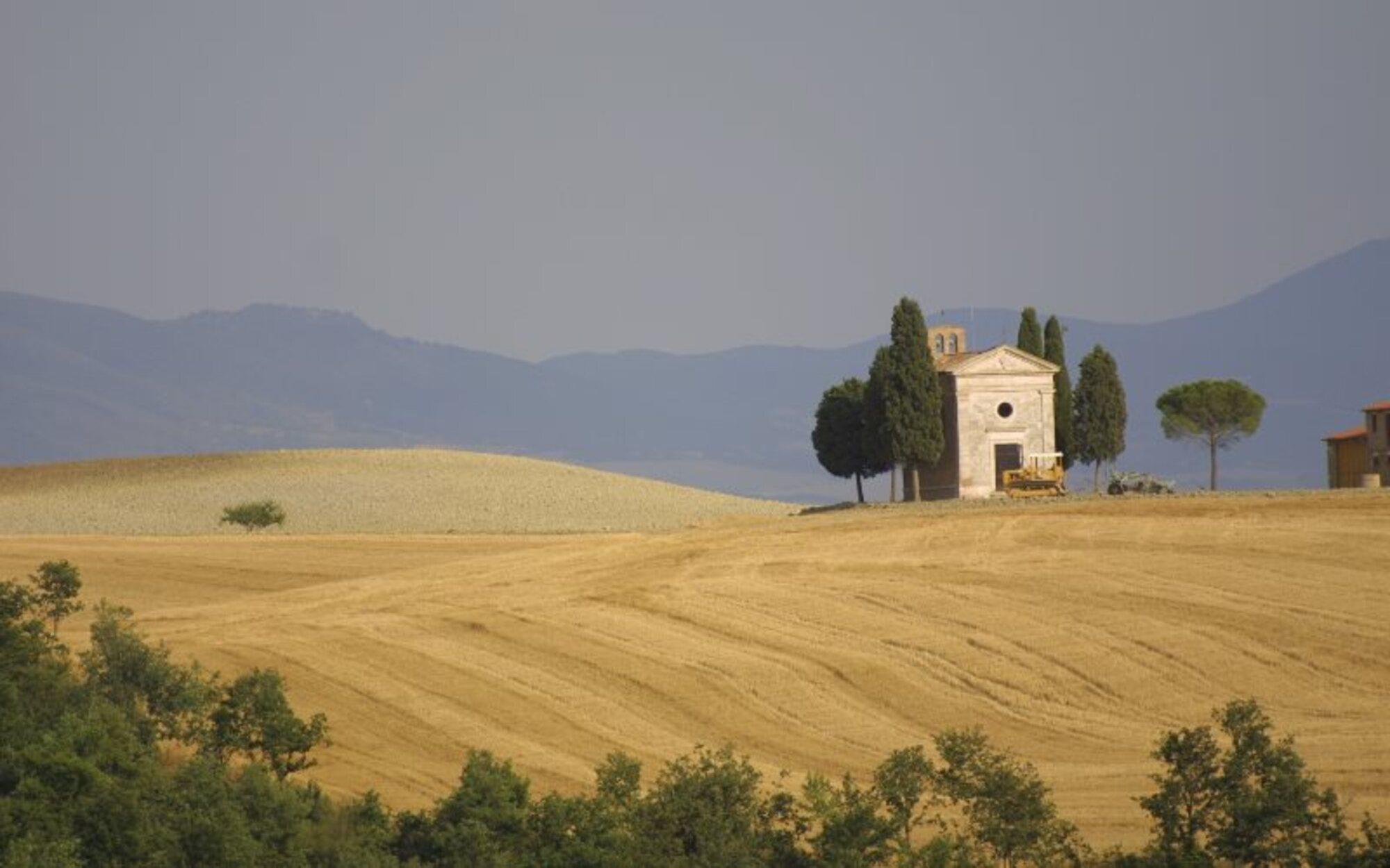 Val-d'Orcia-Original-Wine-Tour-from-Siena-2