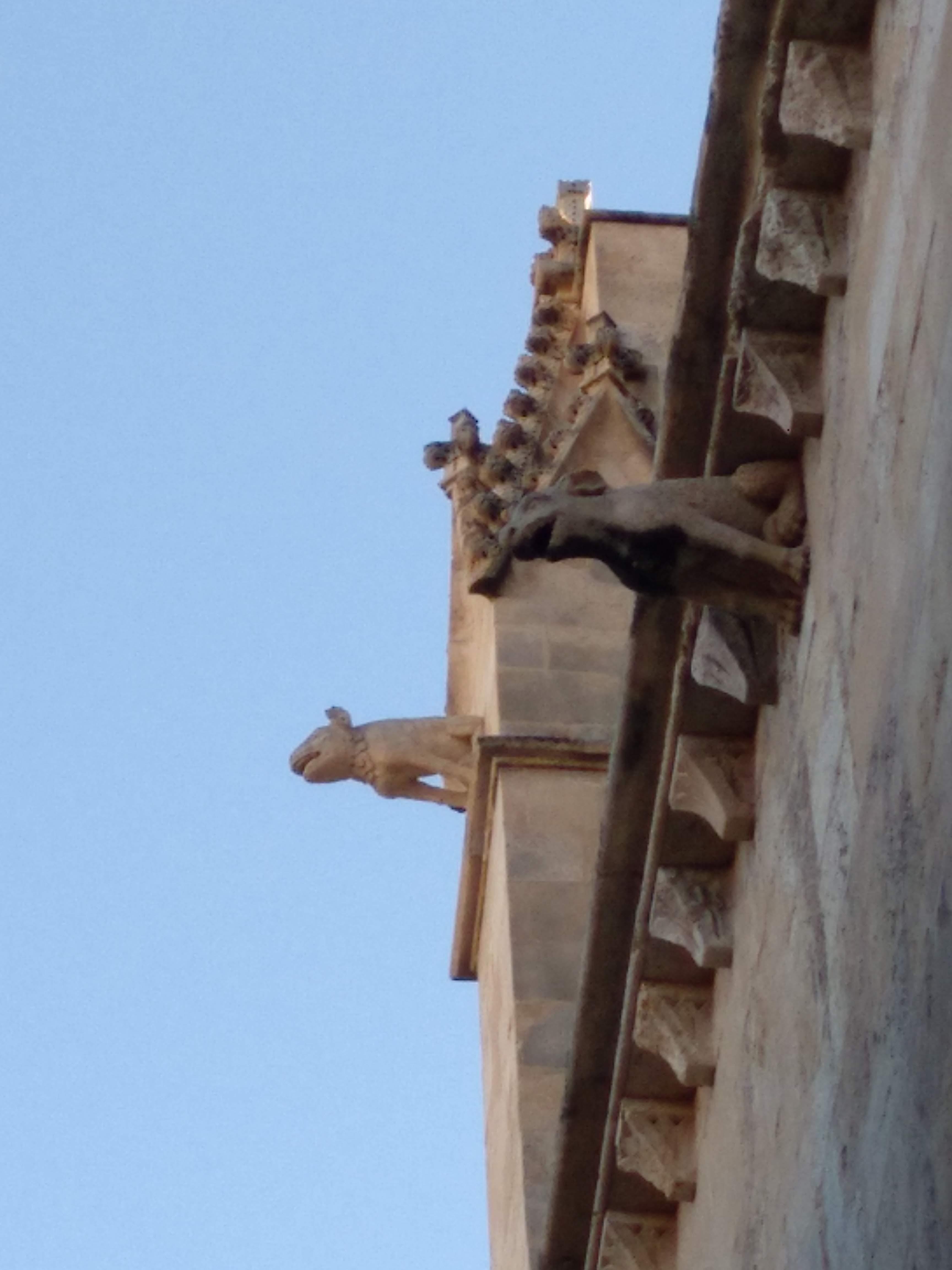 Animales-fantasticos-de-Palma-5