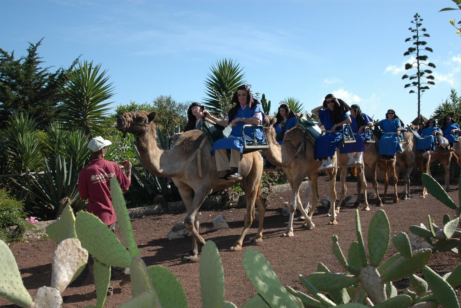 Camel-Riding-Tour-at-El-Tanque-2