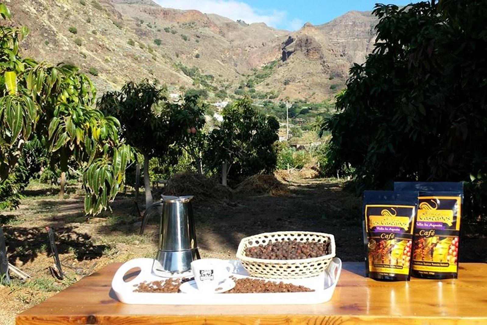 Coffee Tour in Gran Canaria