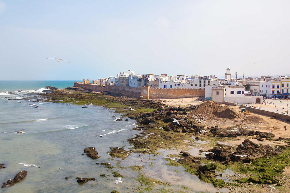 One Day Tour in Essaouira