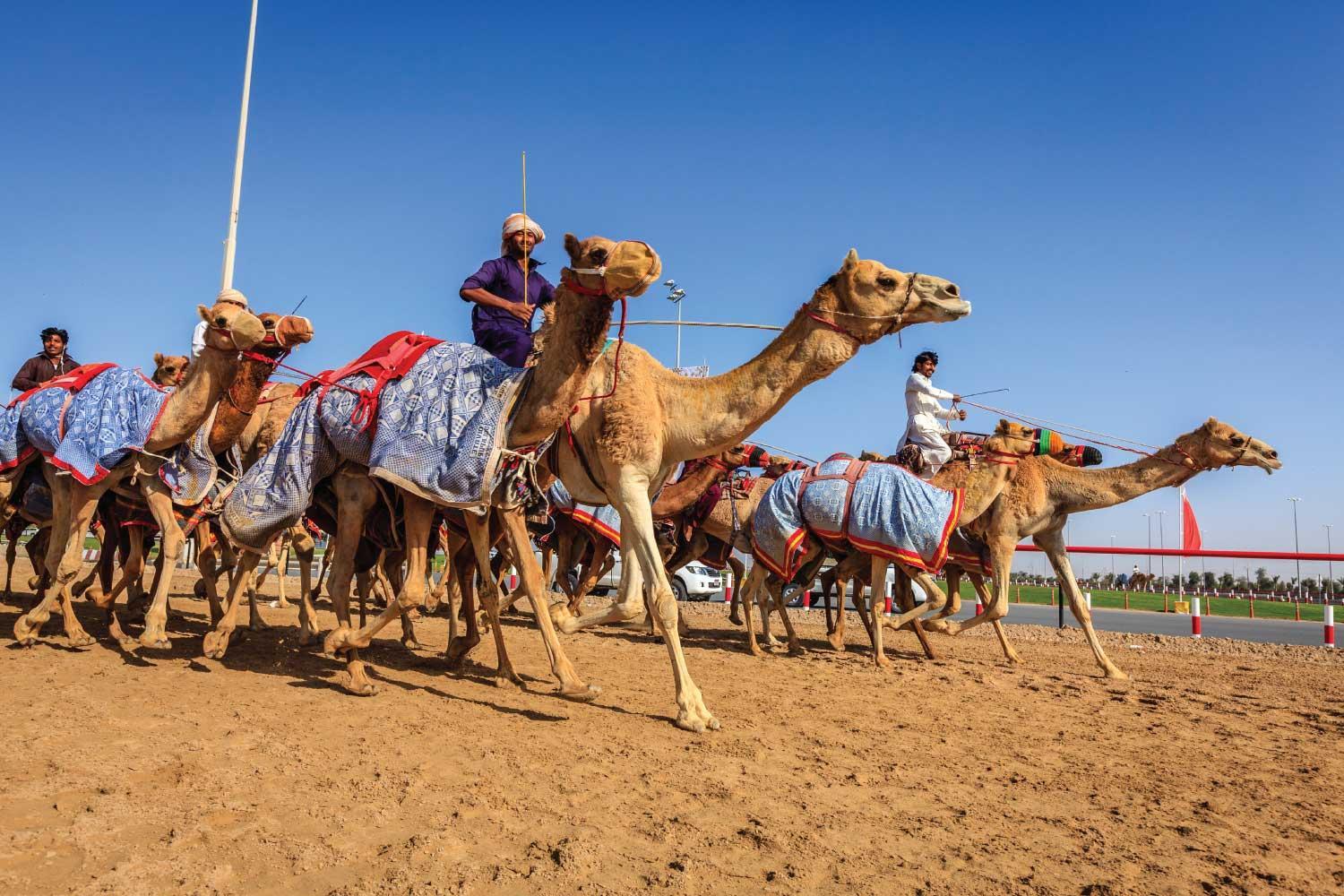 Al Ain Full Day Trip from Abu Dhabi 