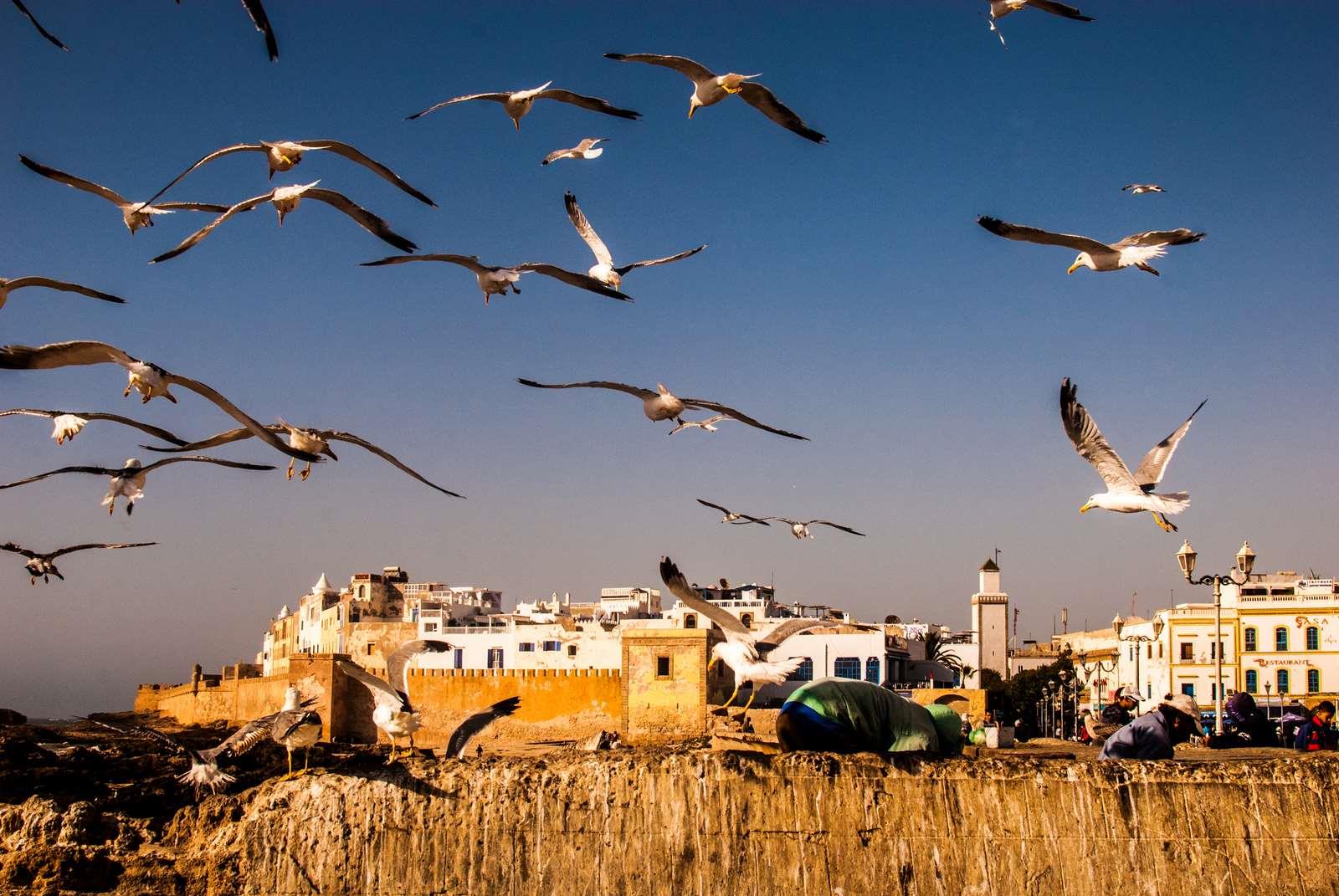 Essaouira-Day-Trip-from-Marrakech-with-transfer-5