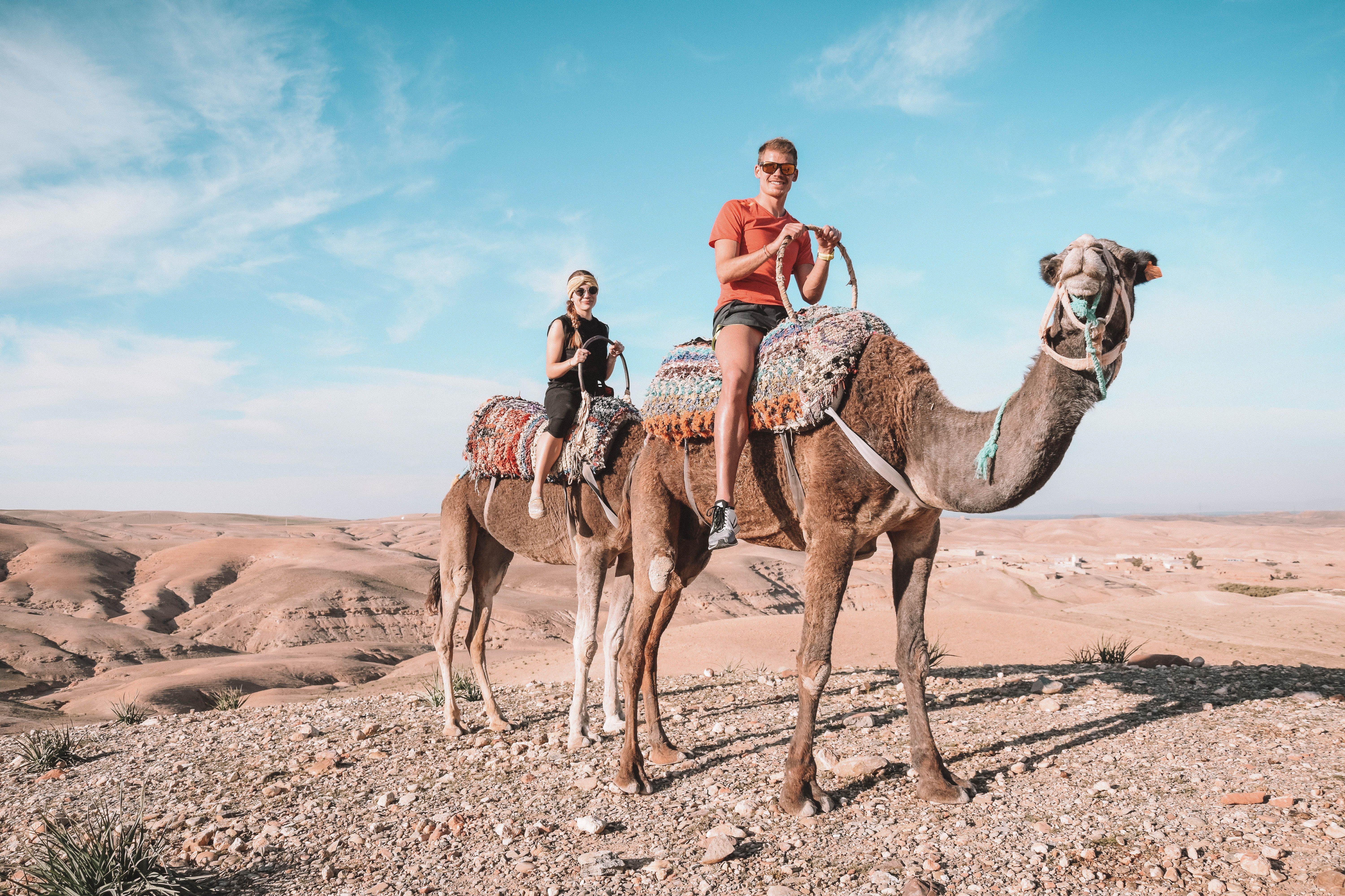 Paseo en Camello al atardecer en Desierto Agafay