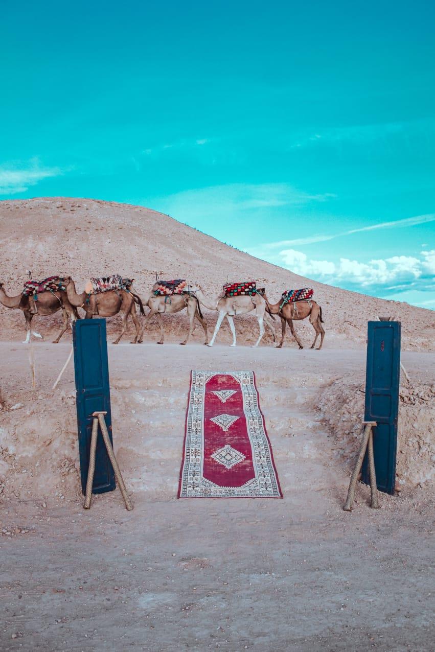Atardecer-Desierto-de-Agafay-Paseo-de-Camellos-7