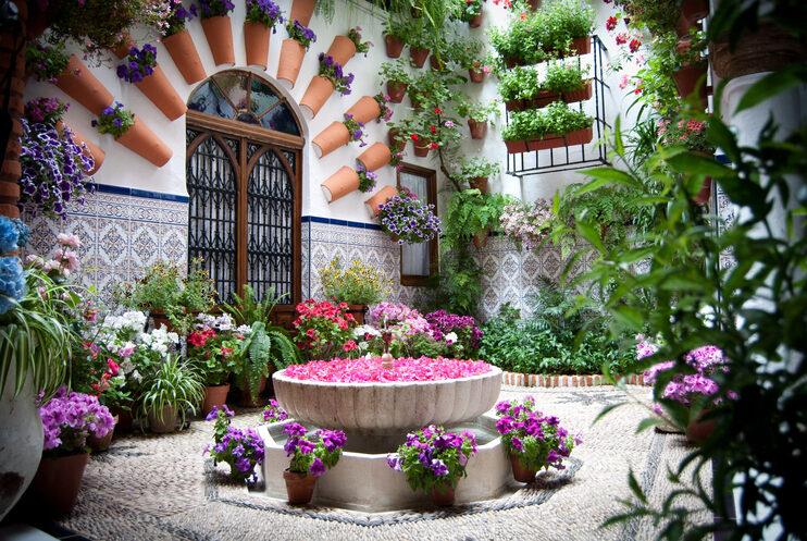 Guided-Tour-and-Tickets-to-the-Patios-of-Cordoba-1