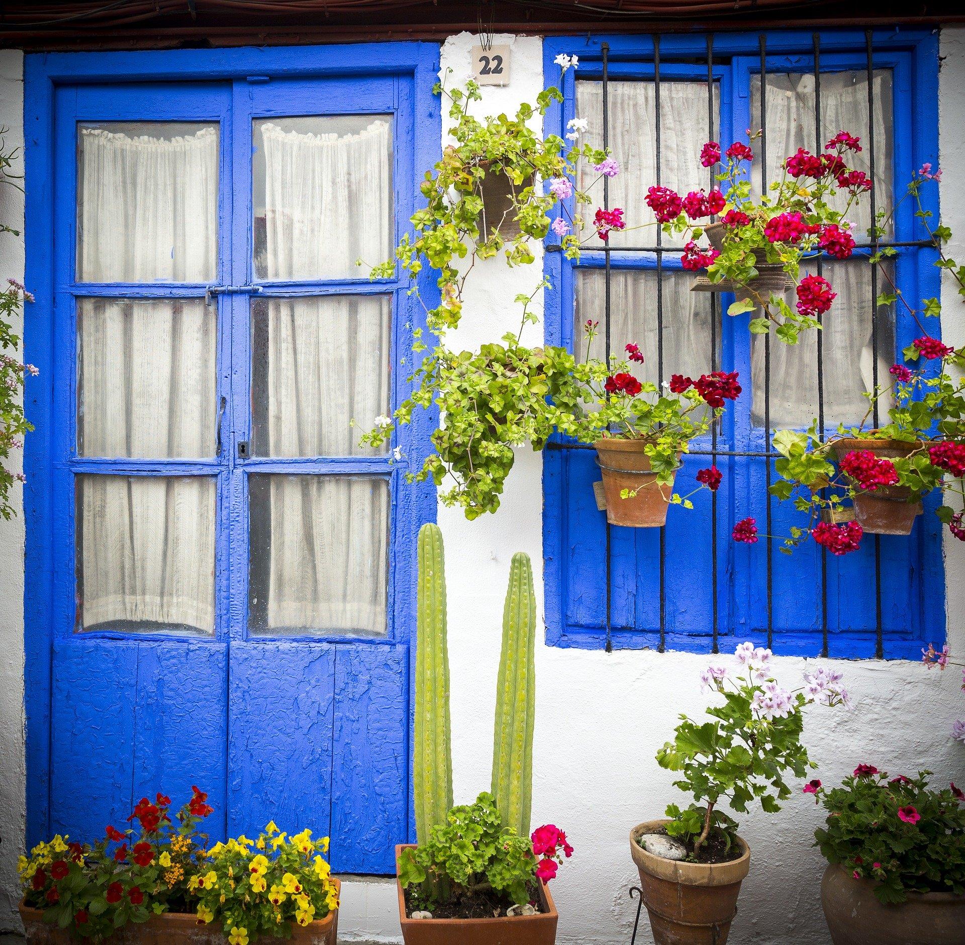 Visita-Guiada-a-los-Patios-de-Cordoba-con-Entradas-6