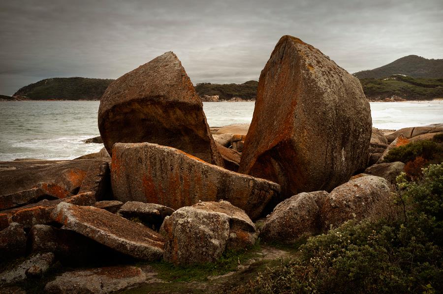 Wilson’s-Promontory-National-Park-day-tour-4