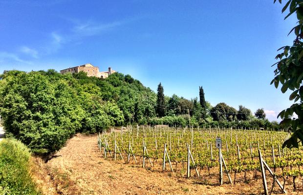 Half day tour to Chianti wine region 