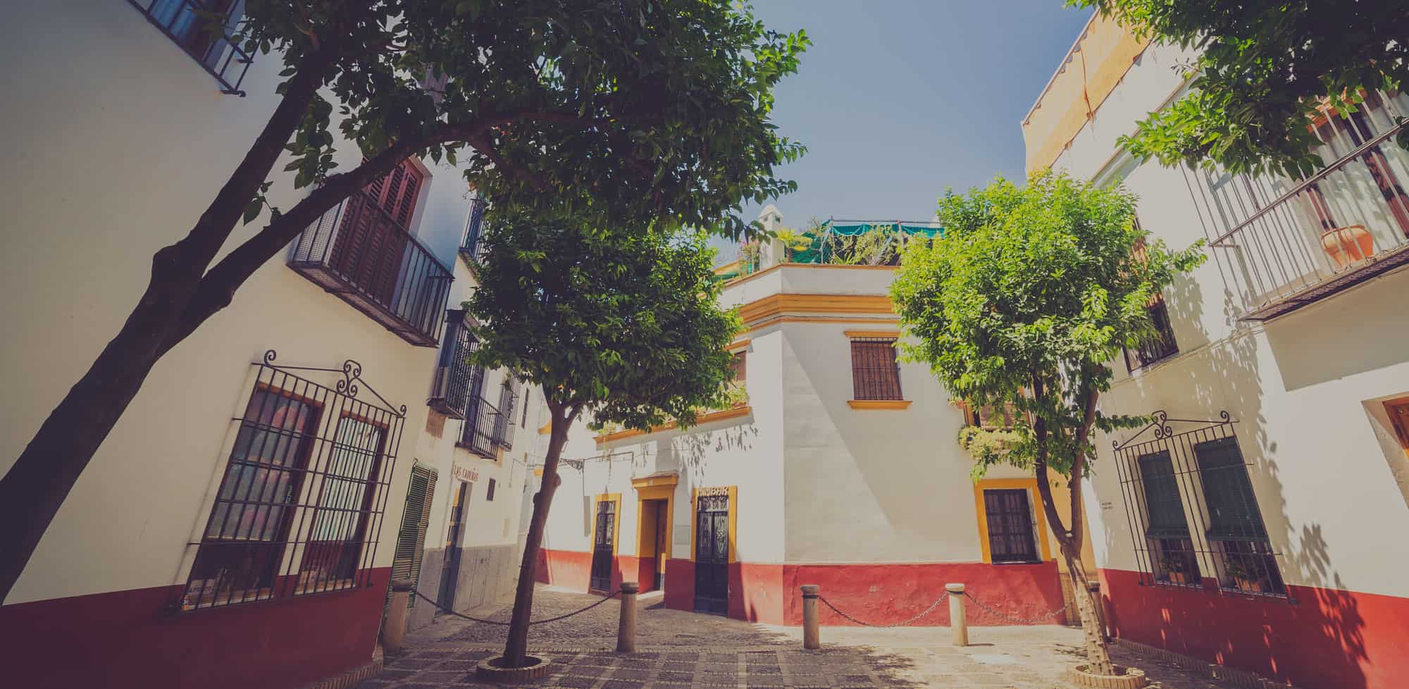 Santa Cruz & Jewish Quarter (Juderia) Tour