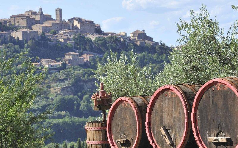Brunello-Wine-Tour-from-Siena-6
