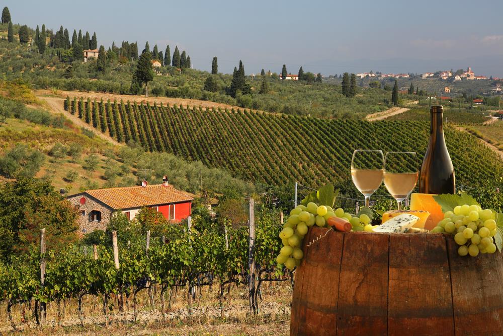 Half-day-tour-to-Chianti-wine-region-2