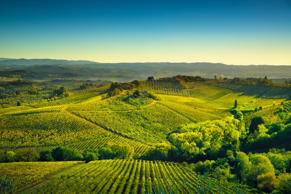 Half-day-tour-to-Chianti-wine-region-1