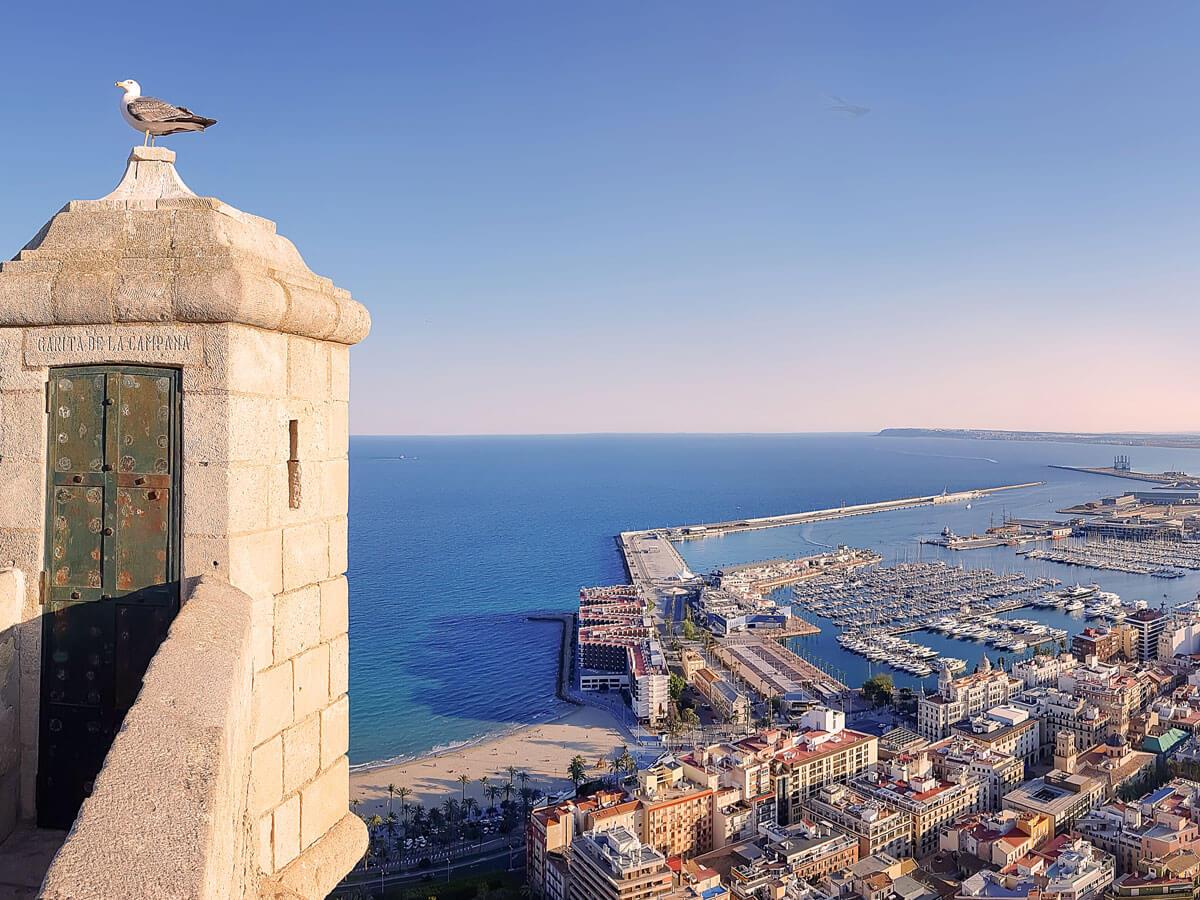 Free tour Alicante Marítima