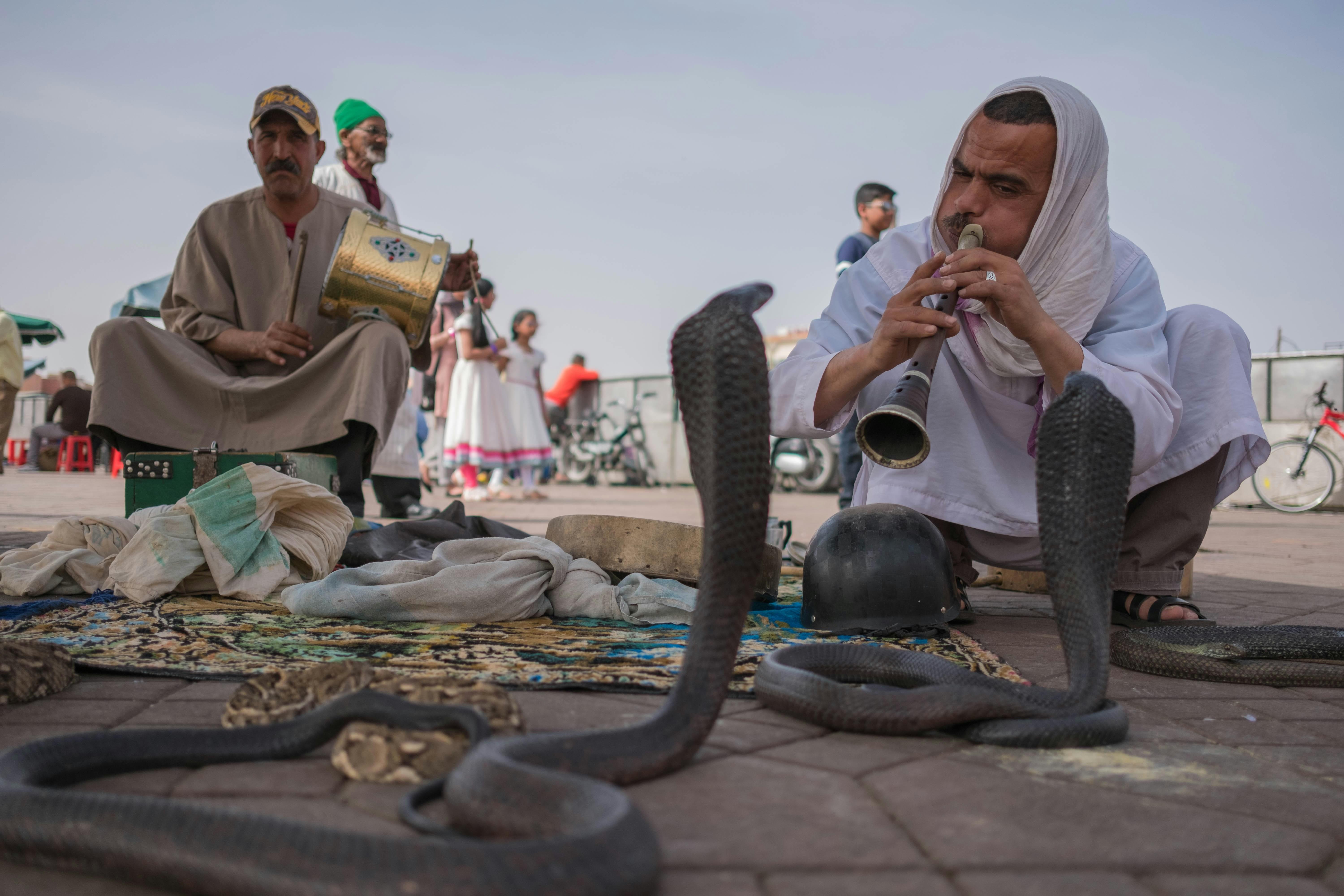 Complete-free-tour-of-Marrakech-9