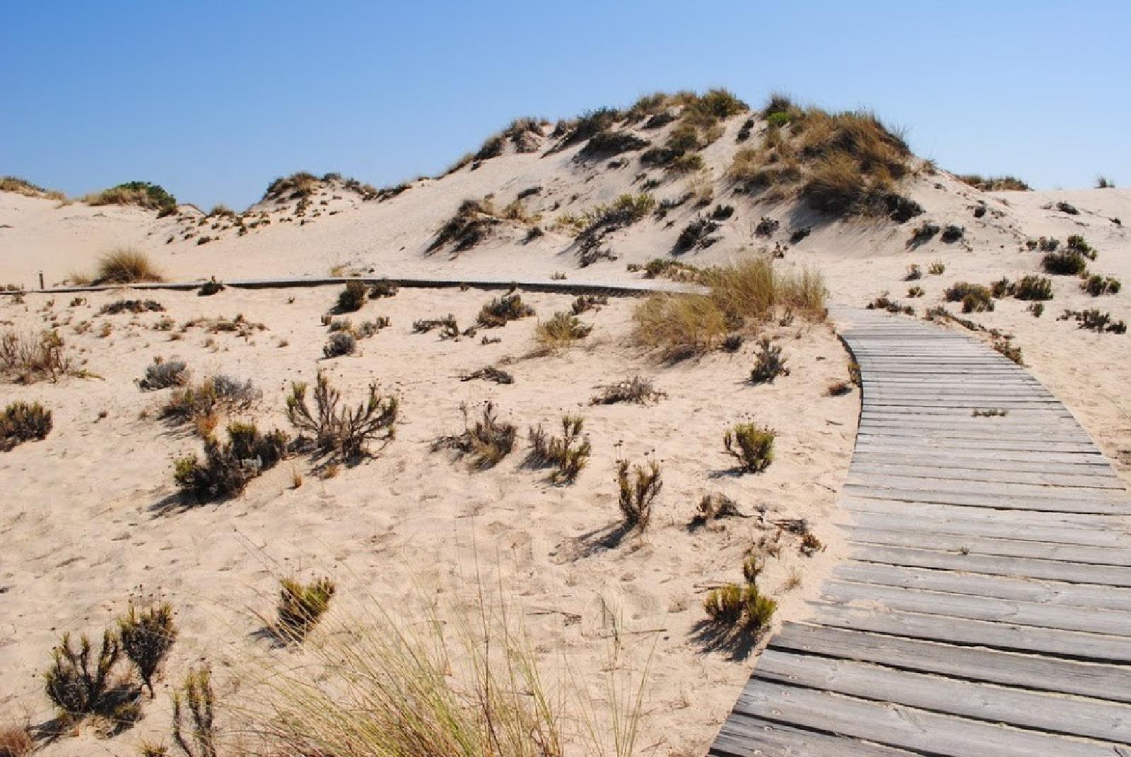 Experiencia Sabor Africano en Doñana