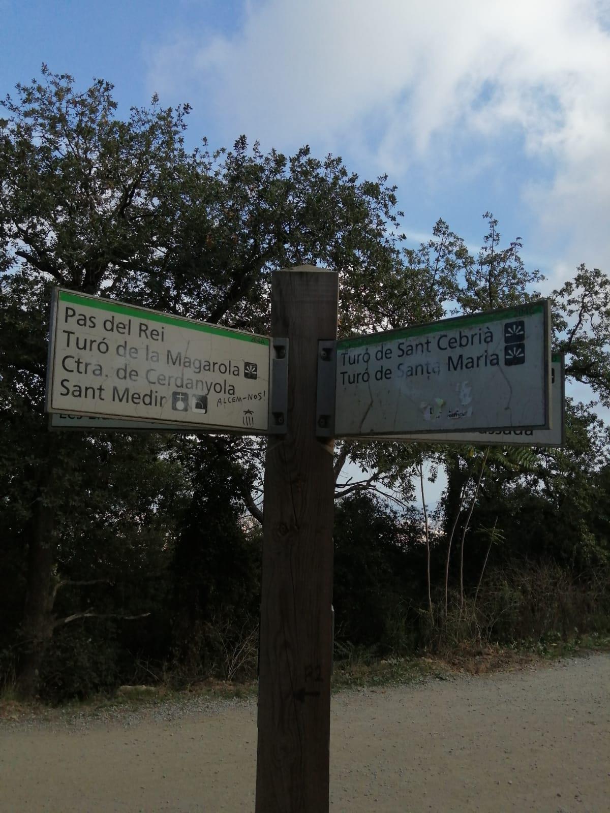 Ruta-de-senderismo-en-Parc-de-Collserola-6