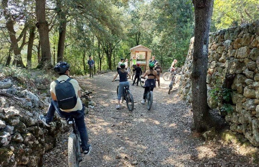 Alquiler-de-E-bike-de-un-dia-en-San-Gimignano-6