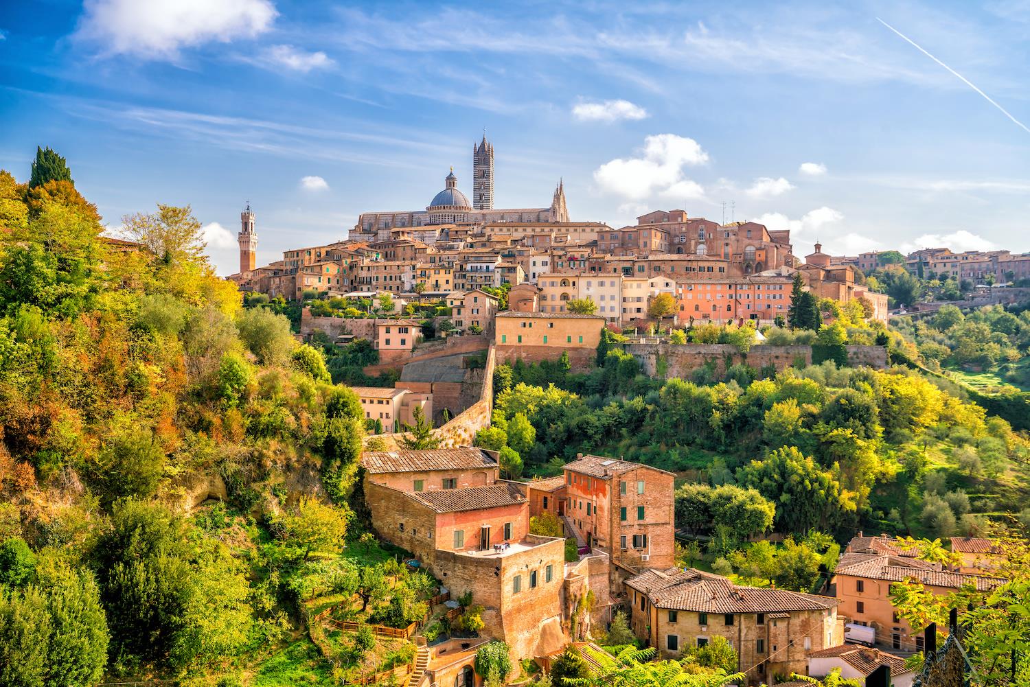 Siena, San Gimignano and Pisa with lunch Trip