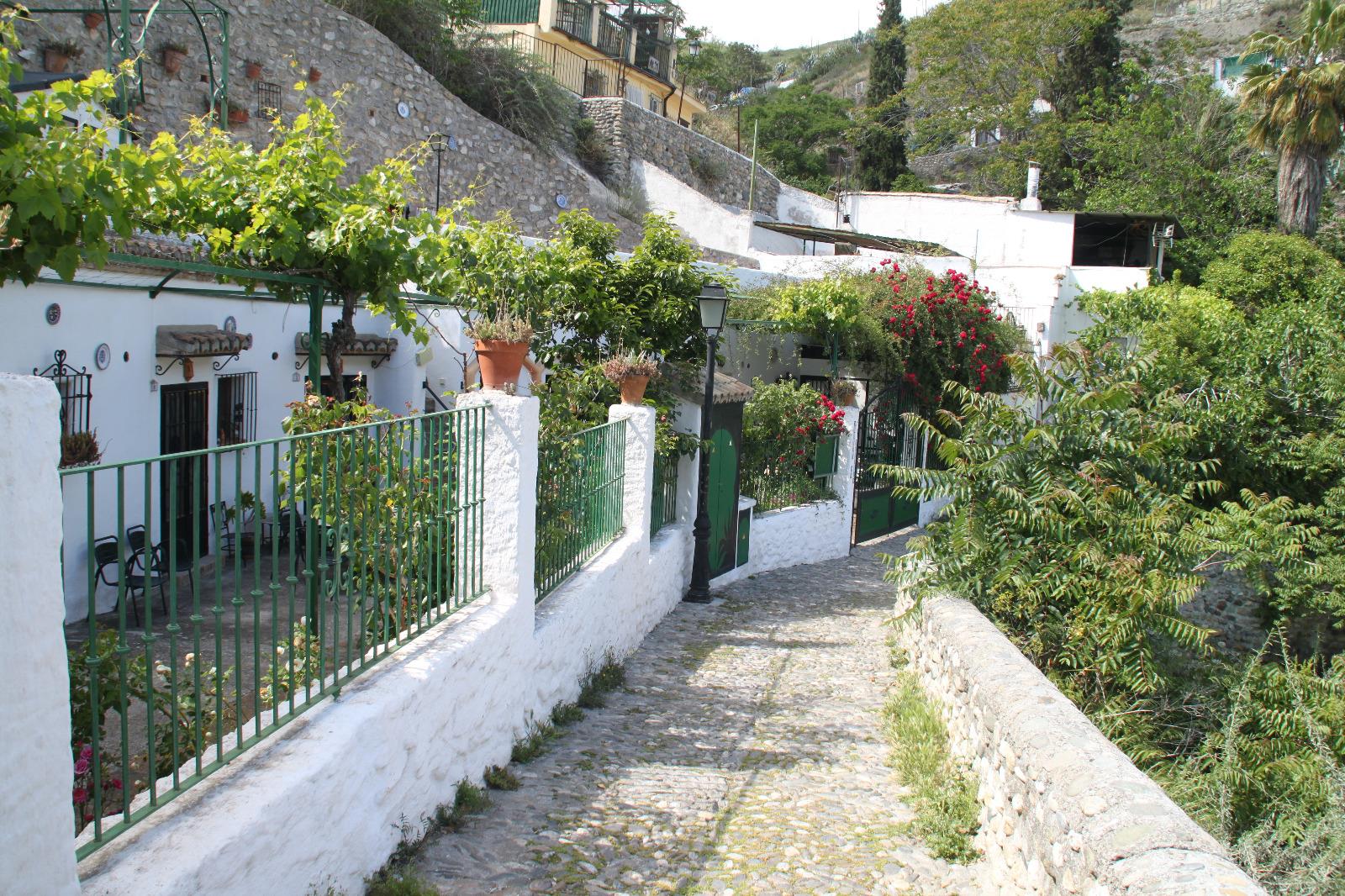 Albaicin-and-Sacromonte-with-Visit-to-cave-house-8