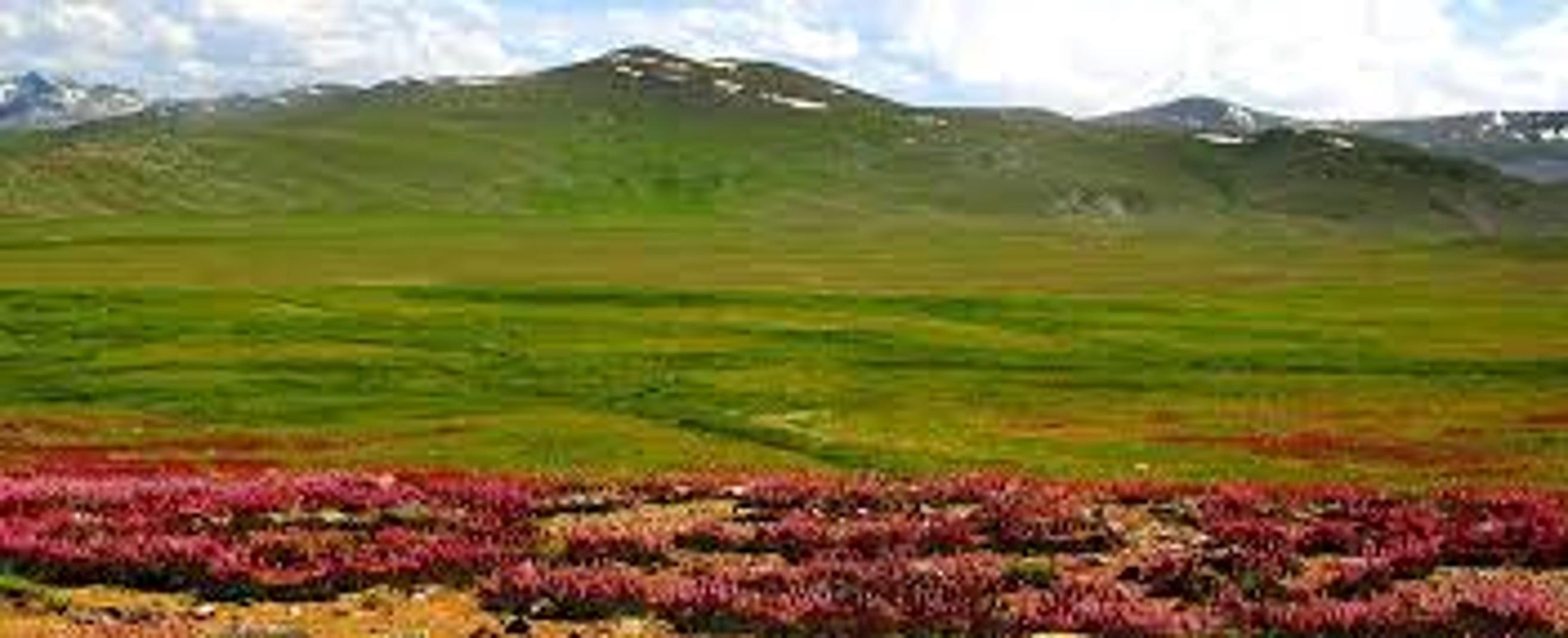 Recorrido por la meseta de Deosai