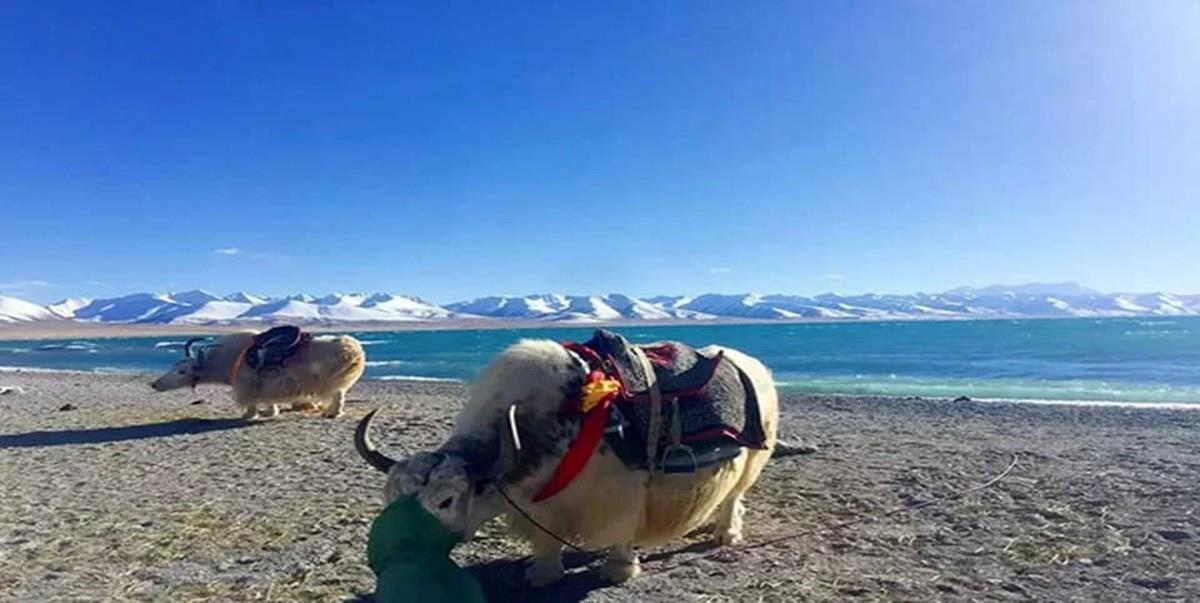 Lhasa-y-el-lago-Yamdrok-en-grupo-reducido-1