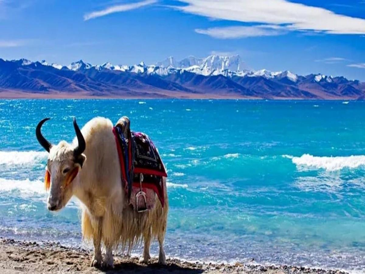 6-Days-Lhasa-and-Namtso-Lake-2