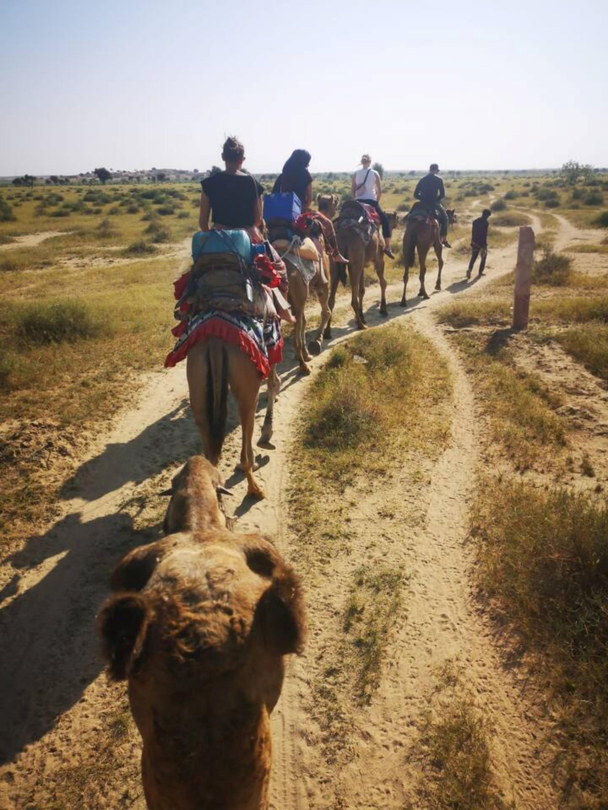 Jaisalmer-Heritage-Free-Walking-Tour-9