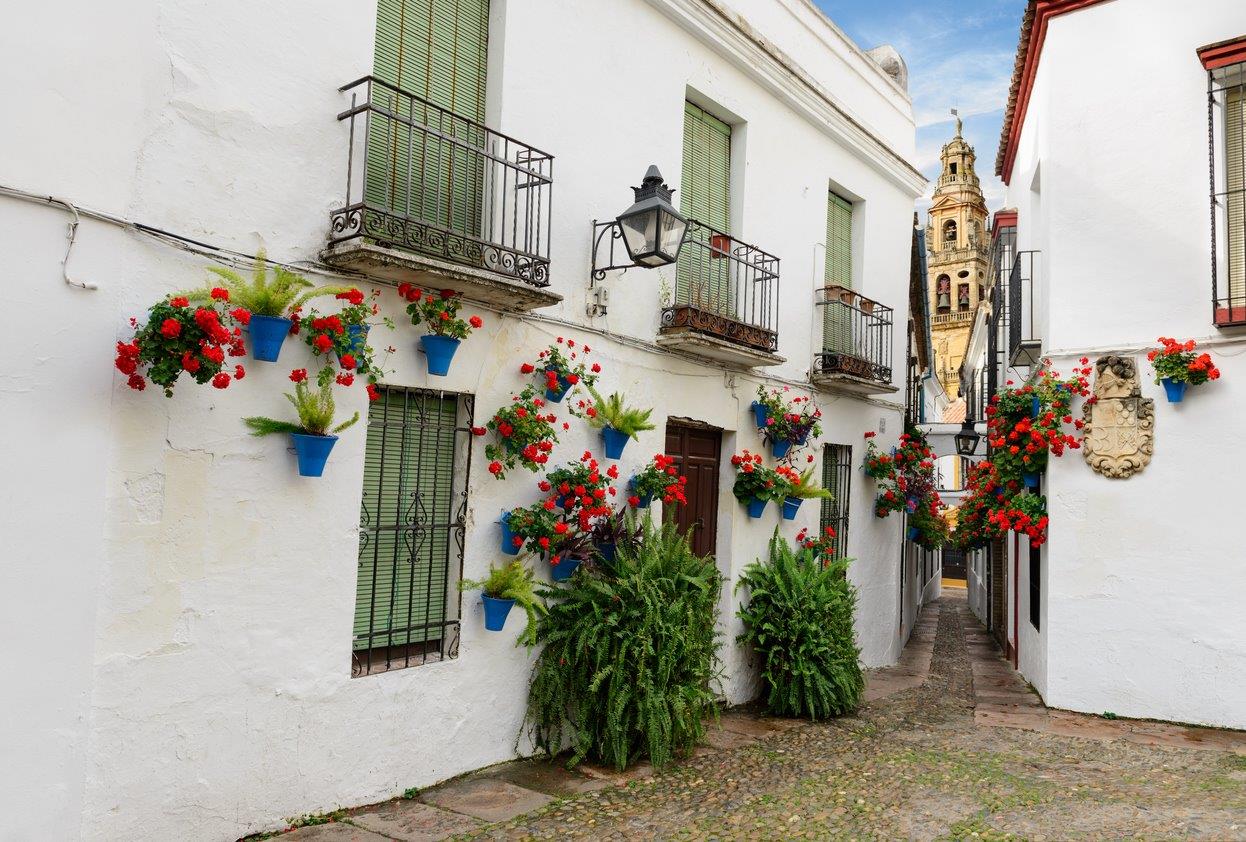 Free-Tour-Cordoba-Essential-Walking-Tour-1