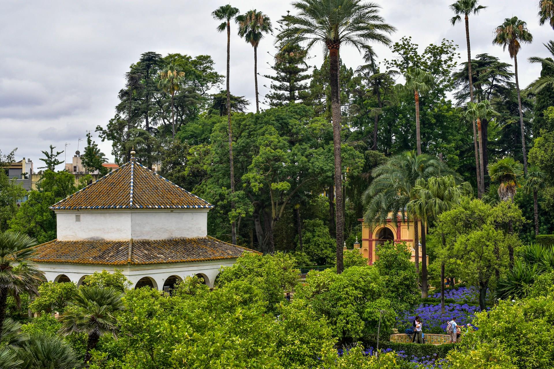 Ticket-+-Guided-Visit-Alcazar-of-Seville-8